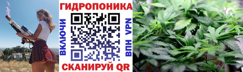 продажа наркотиков  Жуковка  Бошки Шишки White Widow 
